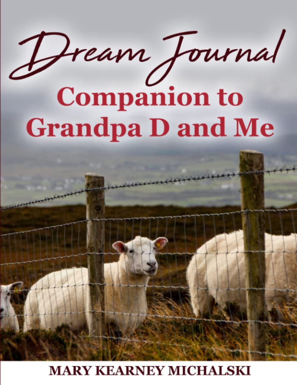 Cover of book