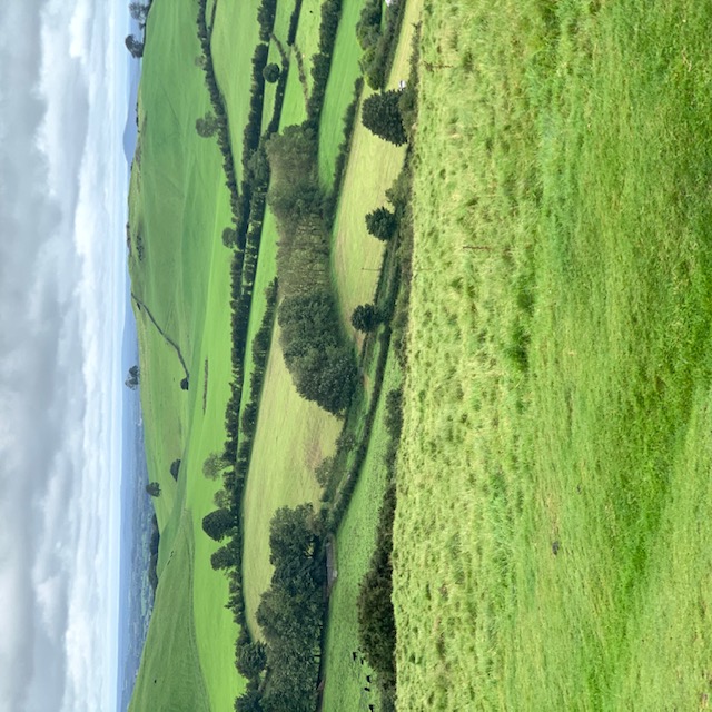 ireland